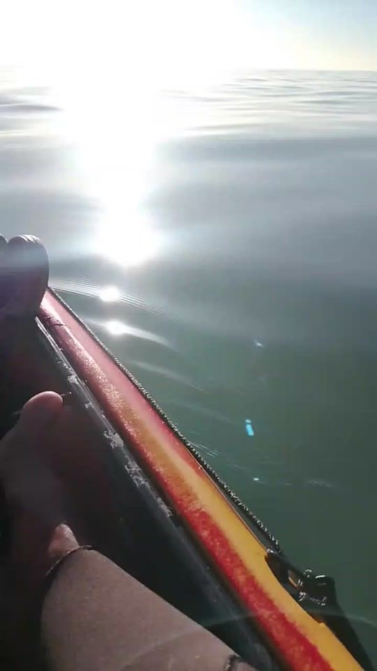 TikTok video thumbnail by bush2beach.hb
