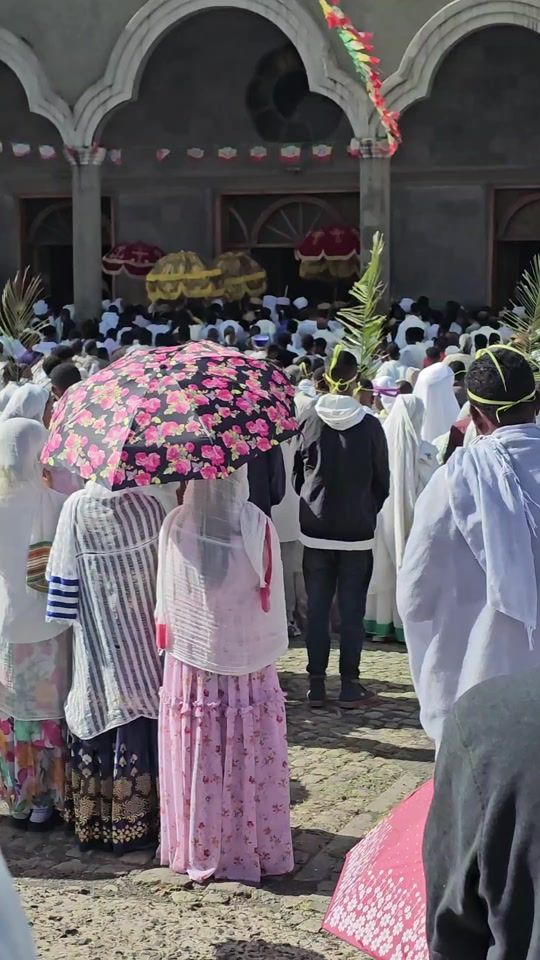 TikTok video thumbnail by pomitad