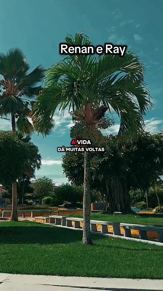 TikTok video thumbnail by dilson3304