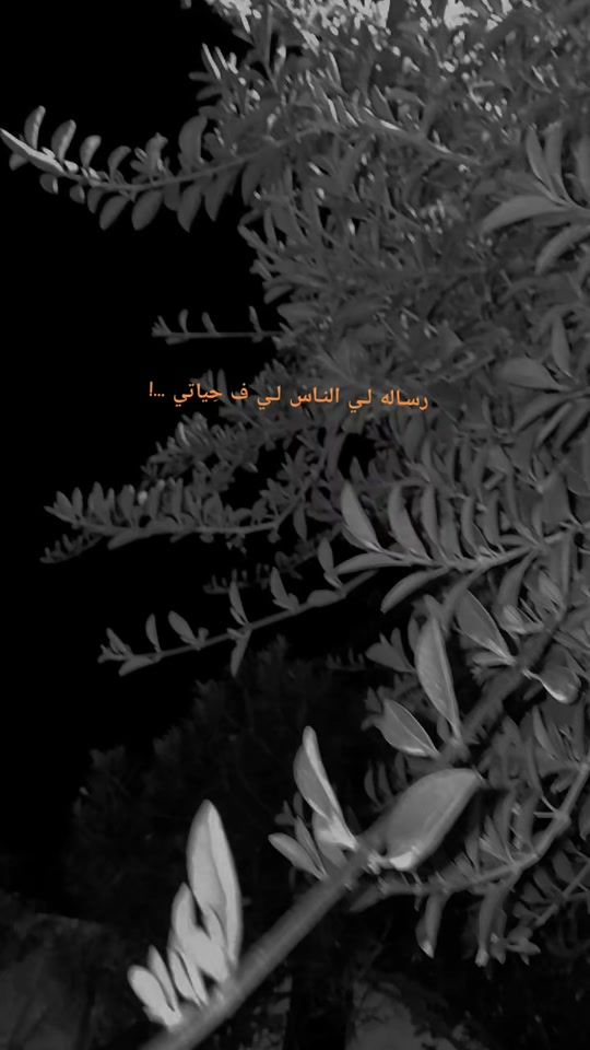 TikTok video thumbnail by hl_laso
