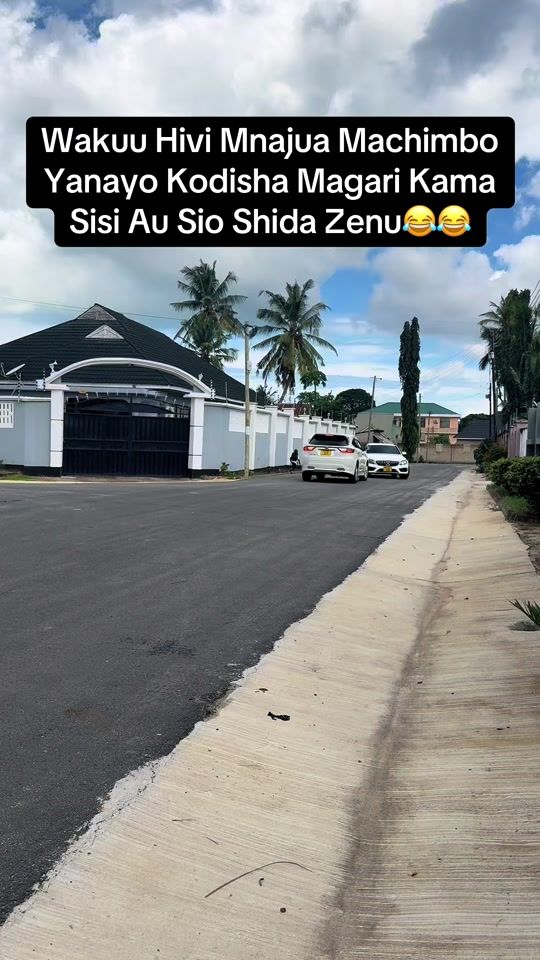 TikTok video thumbnail by frankies_safari