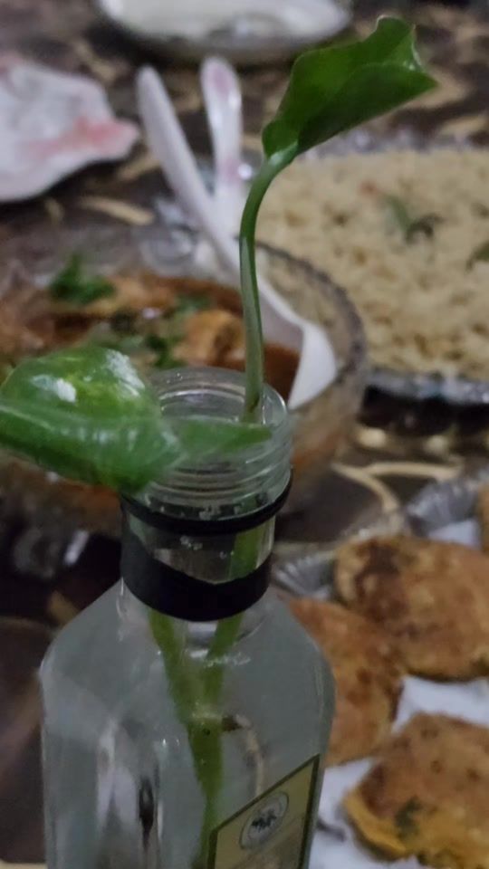 TikTok video thumbnail by nighatasmagulzarofficial
