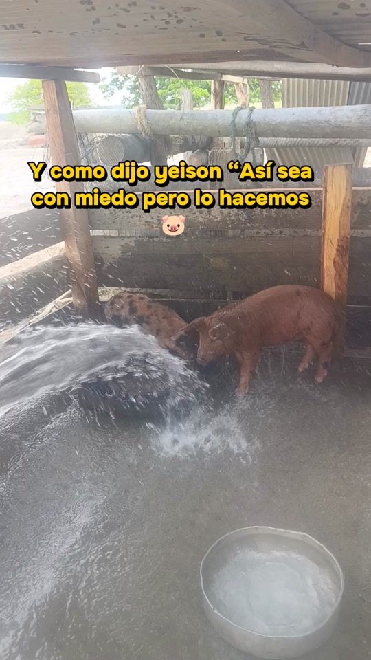 TikTok video thumbnail by gabrielacruces31