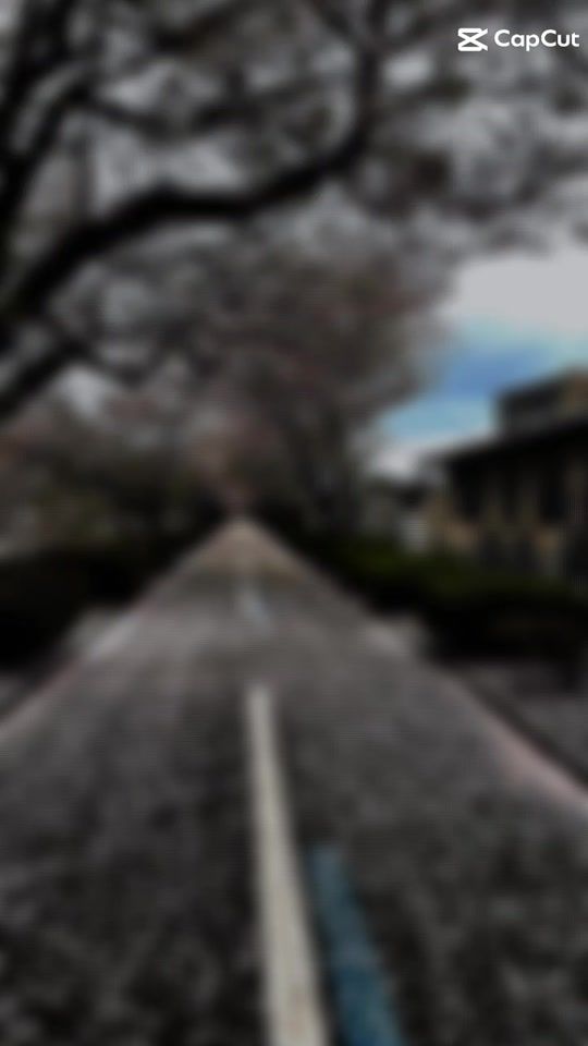 TikTok video thumbnail by srii_1982