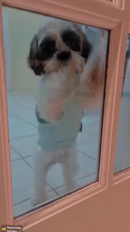 TikTok video thumbnail by alinibalroop18