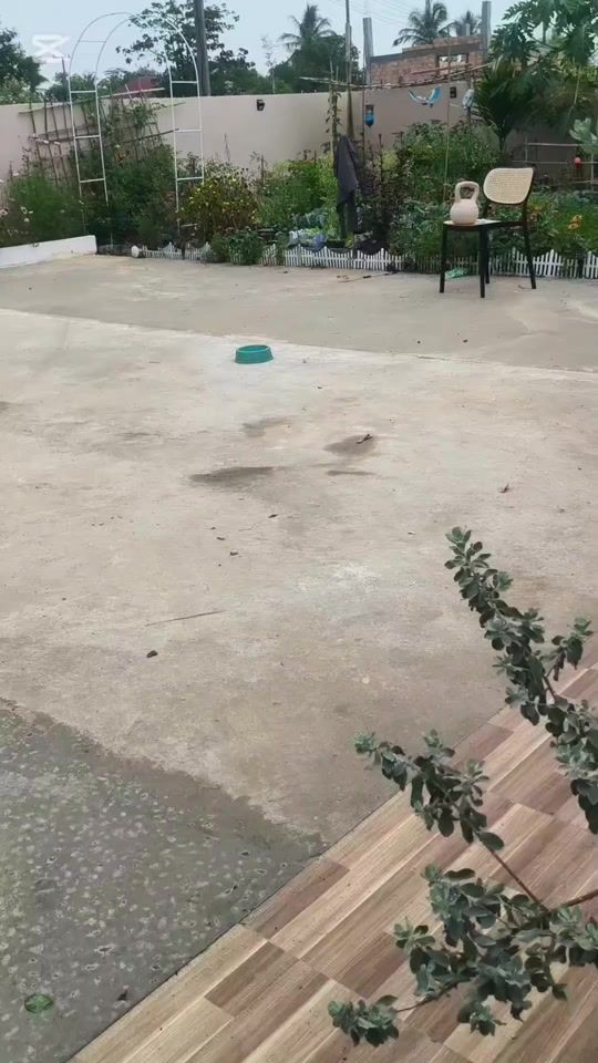 TikTok video thumbnail by nueng.1679