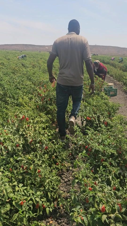 TikTok video thumbnail by ousmane.pdg2