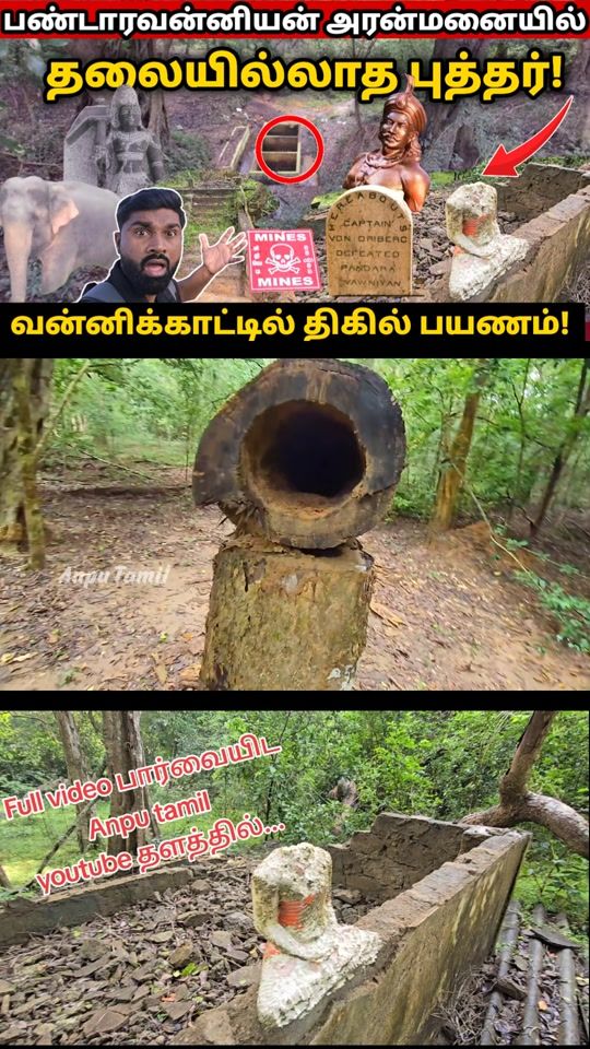 TikTok video thumbnail by anputamilview