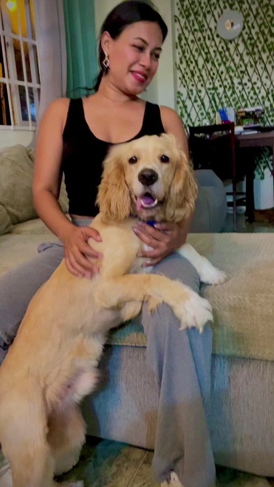 TikTok video thumbnail by lauramanoo33