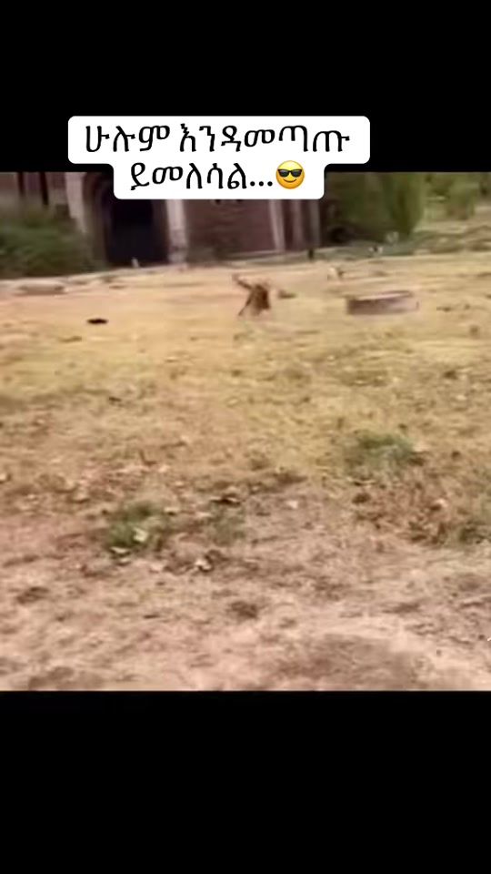TikTok video thumbnail by raskassa11