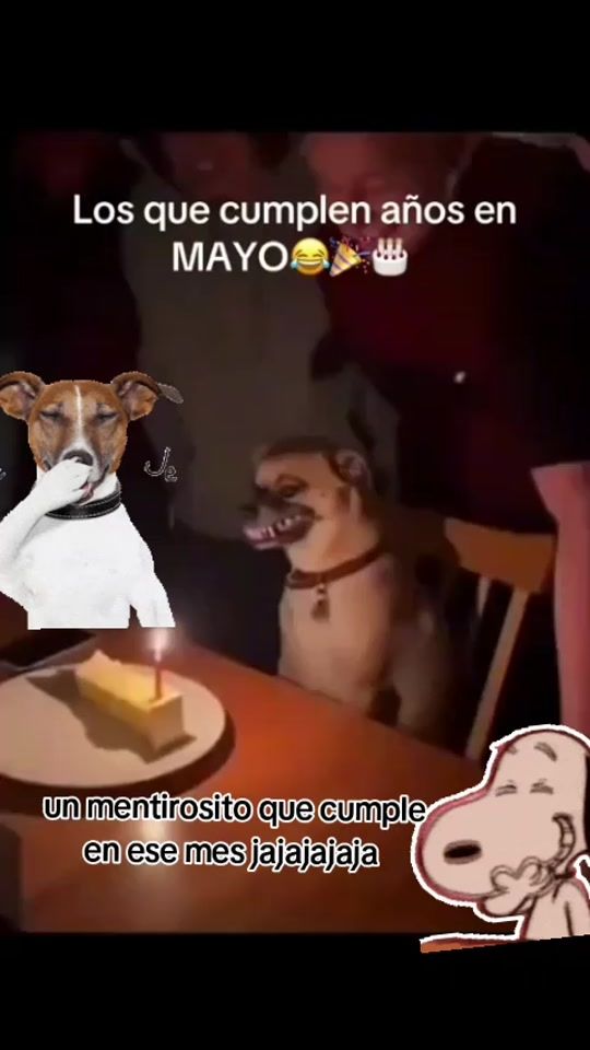 TikTok video thumbnail by lababysosa