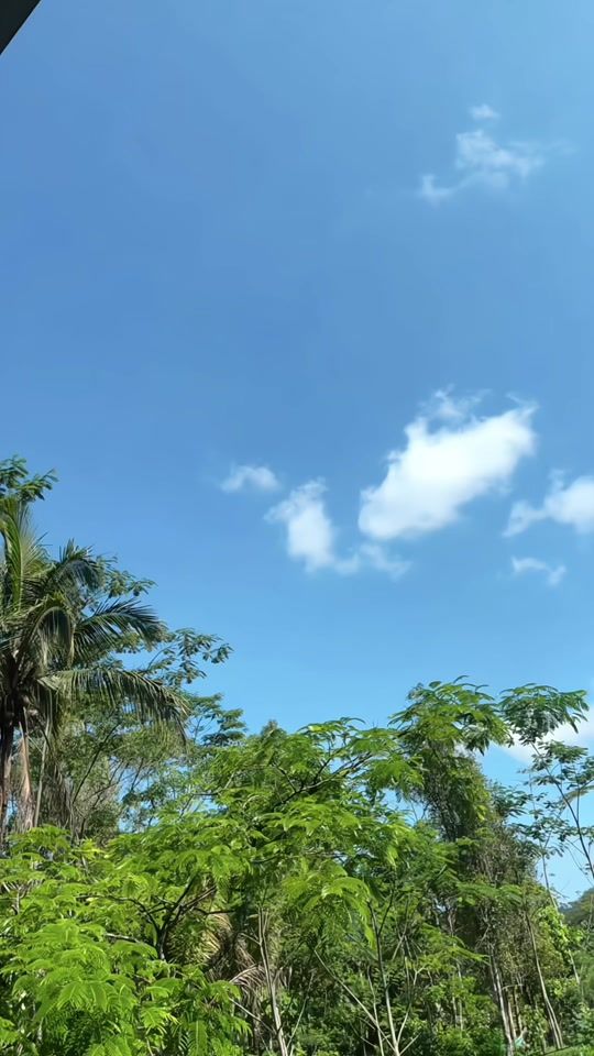TikTok video thumbnail by evita_al