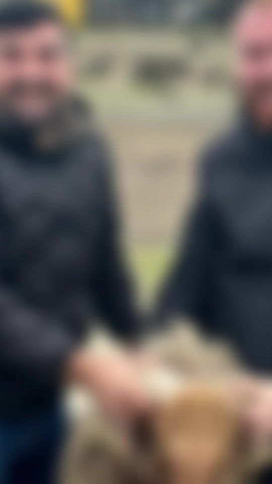 TikTok video thumbnail by enderavci