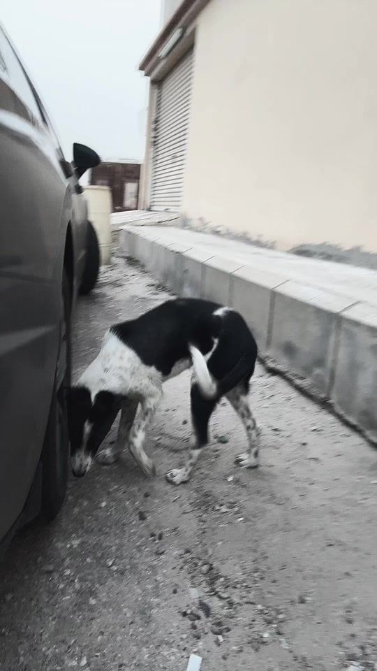 TikTok video thumbnail by .nbn1