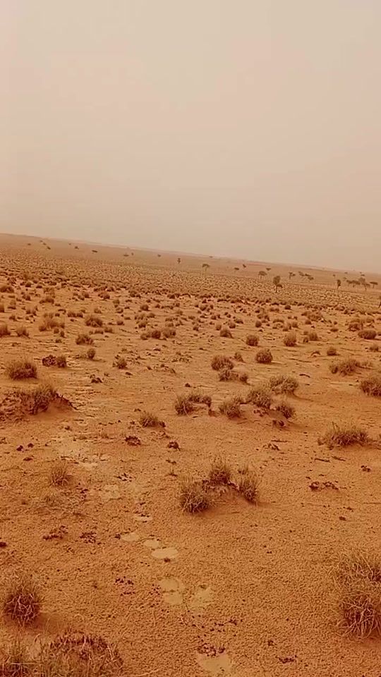 TikTok video thumbnail by x_abdellah_15