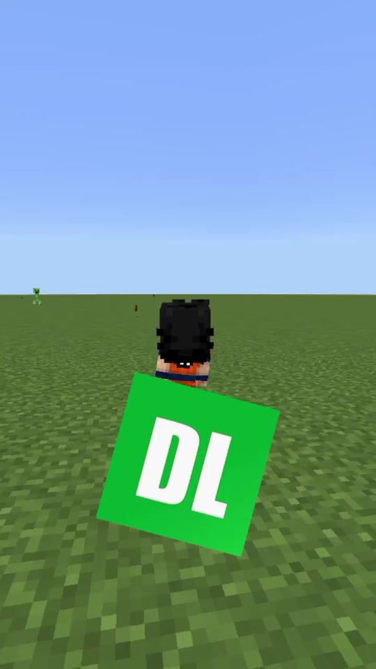 TikTok video thumbnail by gocraft_99