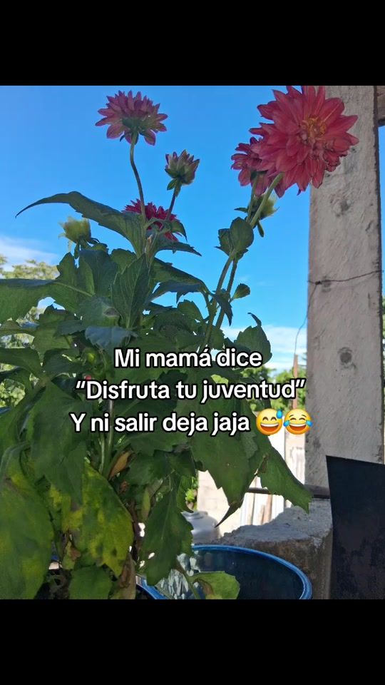 TikTok video thumbnail by nm.ady