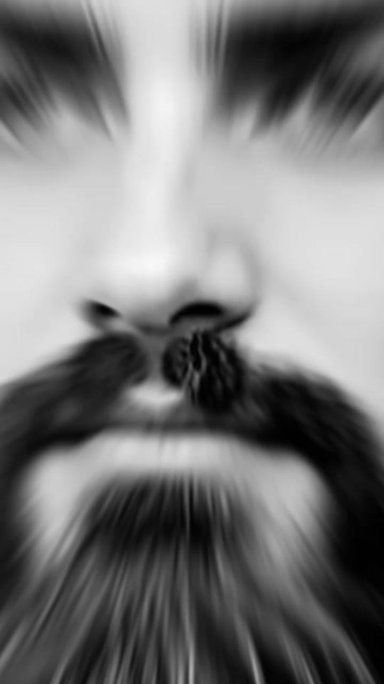 TikTok video thumbnail by dyuuhfg