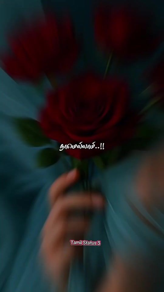 TikTok video thumbnail by tamil.status3