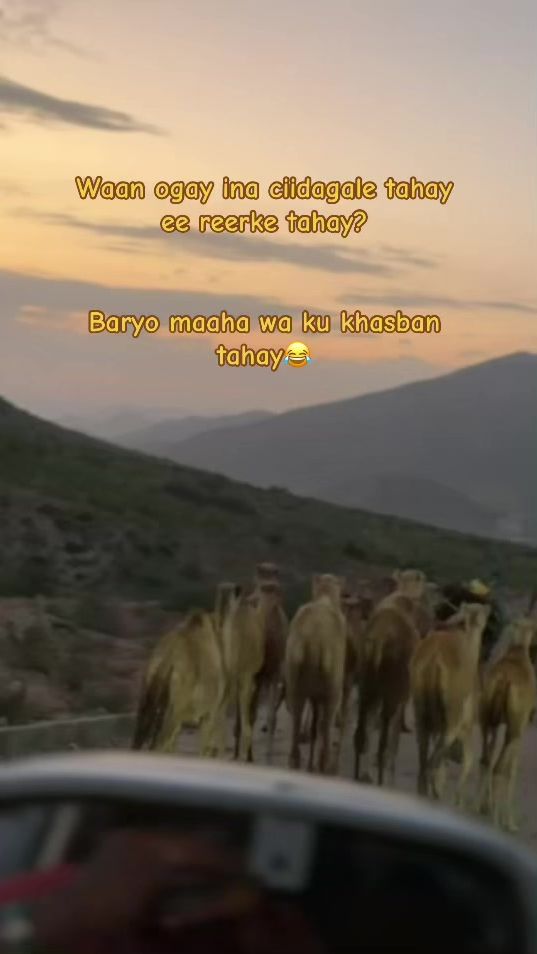 TikTok video thumbnail by kaari3851