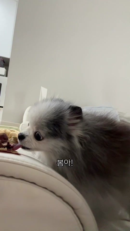 TikTok video thumbnail by song._.bom