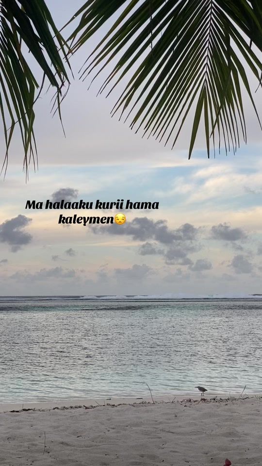 TikTok video thumbnail by nakki__7