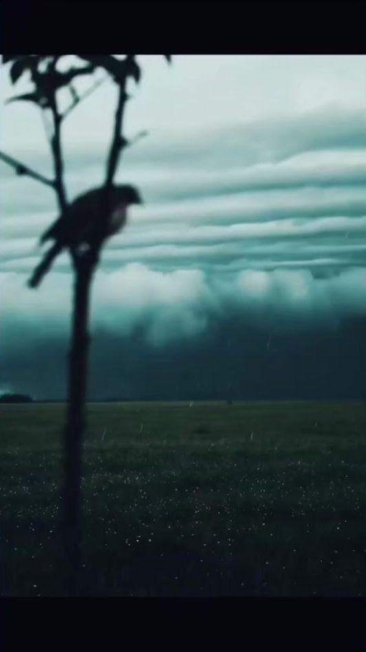 TikTok video thumbnail by ayhamm707