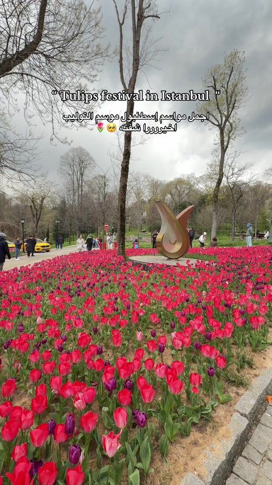 TikTok video thumbnail by travellerwalaa