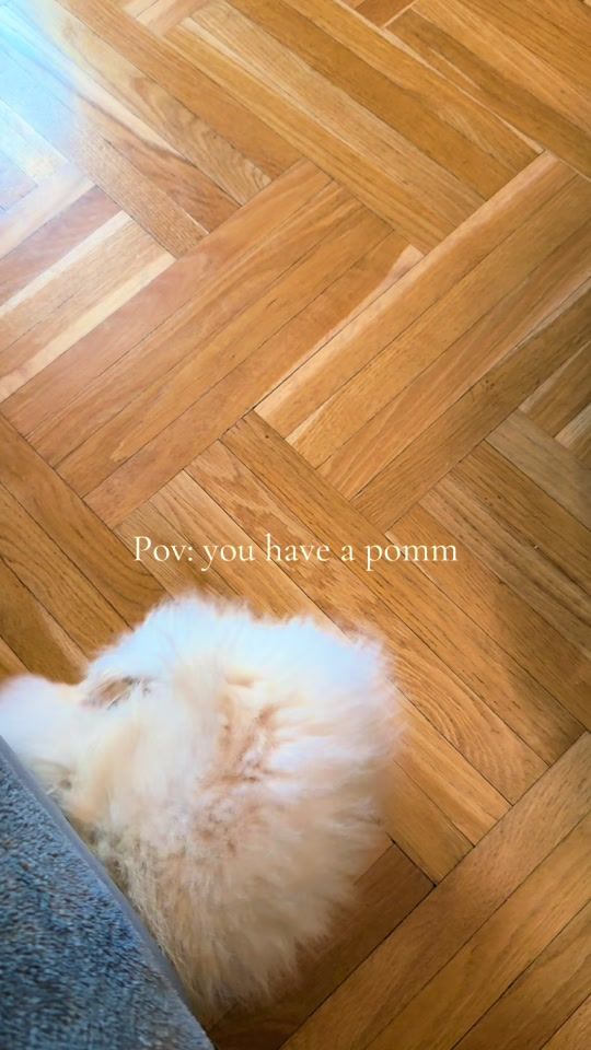 TikTok video thumbnail by itartinaaa