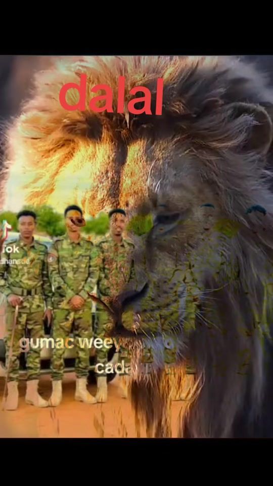 TikTok video thumbnail by baarliingeesaweyn