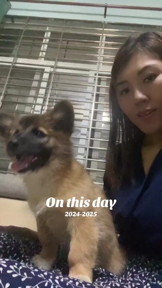 TikTok video thumbnail by nayyee926