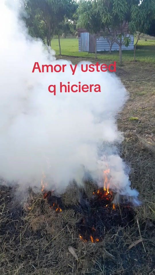 TikTok video thumbnail by carmencitadeceron