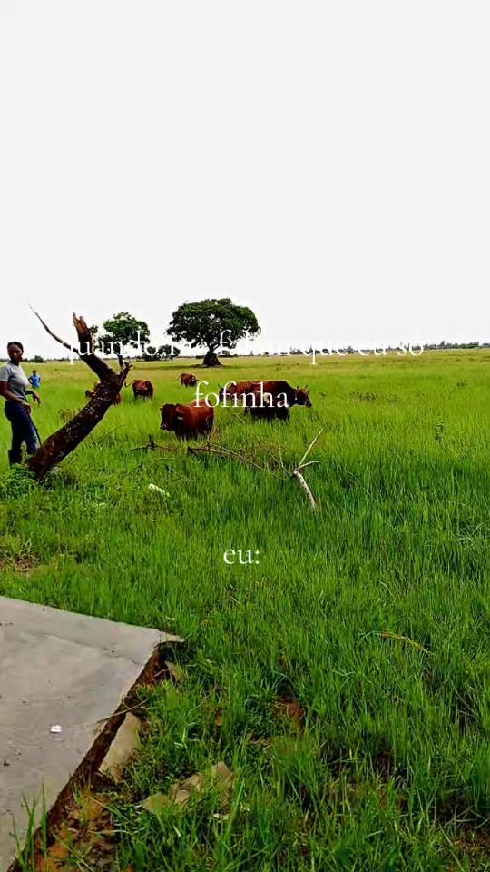 TikTok video thumbnail by lucineidy61