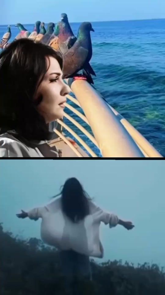 TikTok video thumbnail by khaled.setohy