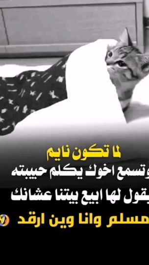 TikTok video thumbnail by cub200553
