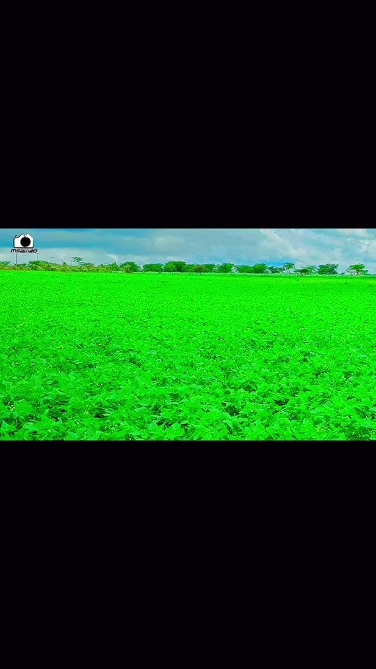 TikTok video thumbnail by msafl120