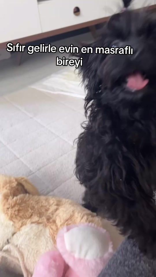 TikTok video thumbnail by cansuusta35