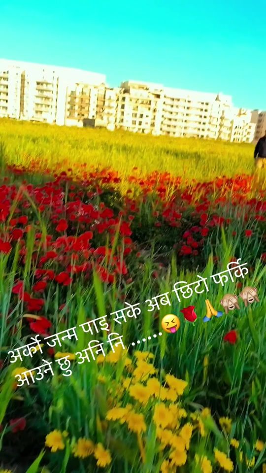TikTok video thumbnail by dhirajchapagain0