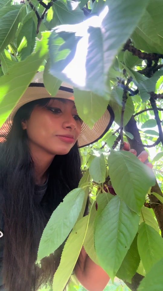 TikTok video thumbnail by pramodya.weerasinghe