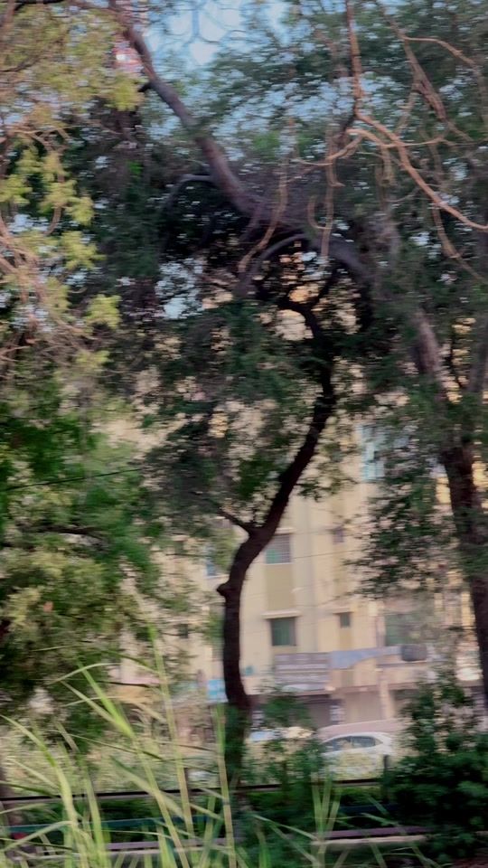 TikTok video thumbnail by javedabbasiofficial0