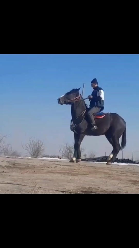 TikTok video thumbnail by user454490145525