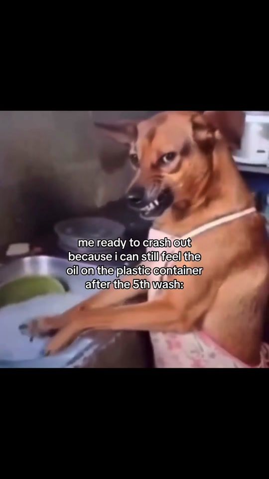 TikTok video thumbnail by gneishvilizz