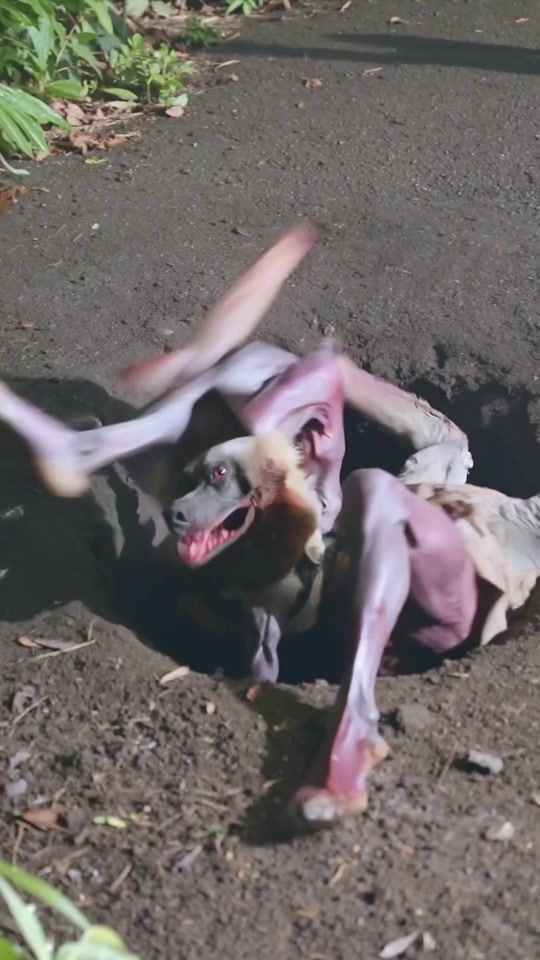 TikTok video thumbnail by pxlsqshr
