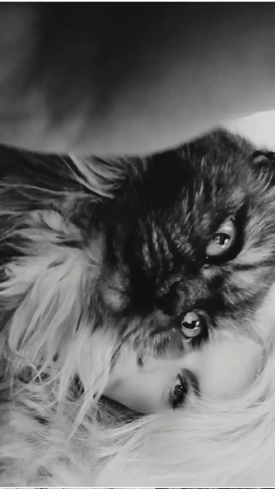 TikTok video thumbnail by jullia_nik