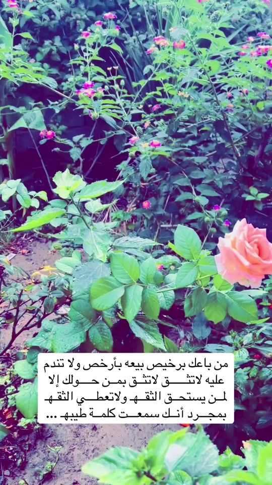 TikTok video thumbnail by m_s88r