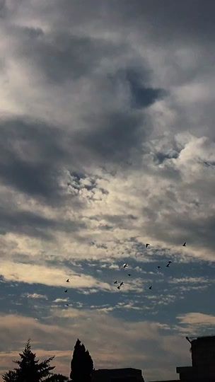 TikTok video thumbnail by m._r_01