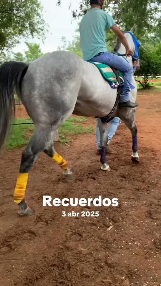 TikTok video thumbnail by mateito_py