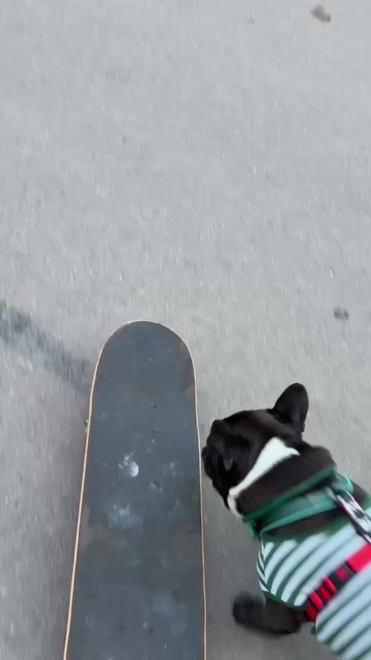 TikTok video thumbnail by baroshaskater