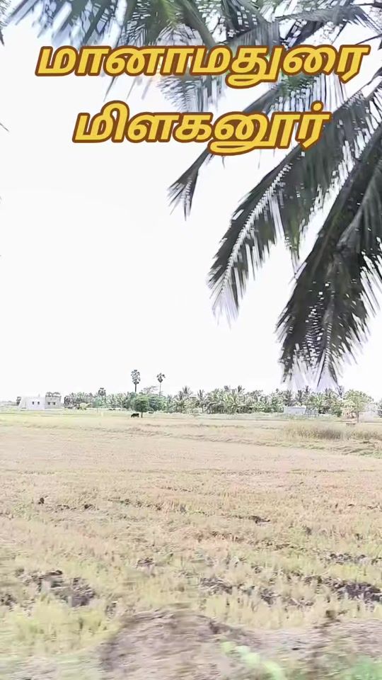 TikTok video thumbnail by manipmk121