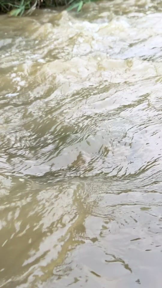 TikTok video thumbnail by ehsalem0